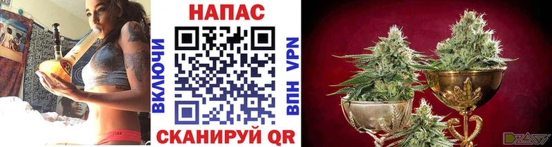 Шишки марихуана OG Kush Березники